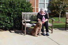 Commercial-shoot-036R-220x147 a woman sitting on a bench with a dog